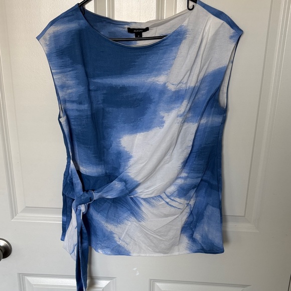 Alfani Tops - Alfani Blue and White Tie-Front Blouse